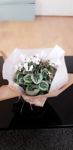 J'ai reçu une jolie fleur pour la Fête des Mères