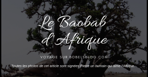 https://iboutchou.org BOBEL's Blog et le Baobab