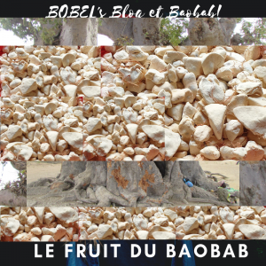 https://iboutchou.org bobels blog et le baobab au bonheur des dames